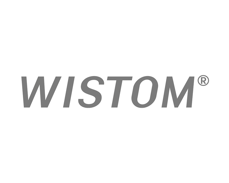 WISTOM-brand-logo